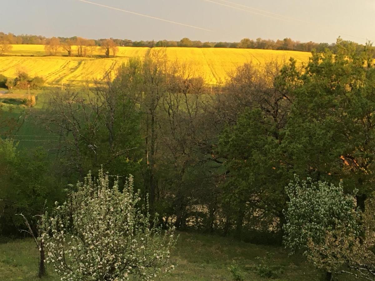 Chambre d'hôtes Dougnac Art Fantastique Fleurance Exterior foto